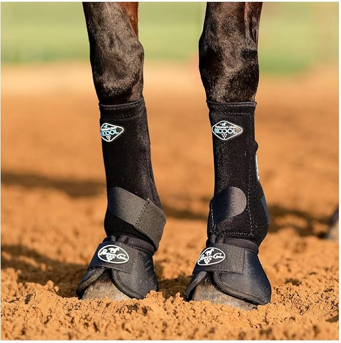 Professional's Choice 2XCOOL Sports Medicine Horse Boots | Protective & Breathable Design for Ultimate Comfort, Durability & Cooling in Active Horses | 2 Pack Large Black