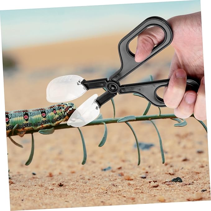 POPETPOP 6pcs Reptile Feeding Clip Flexible Cleaning Tool for Insect Feeding for Crickets and Locusts Comfortable Scissors Handle for and Breeding