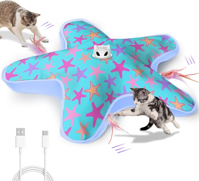 Interactive Cat Toys for Indoor Cats with Moving Concealed Feathers by Unknown