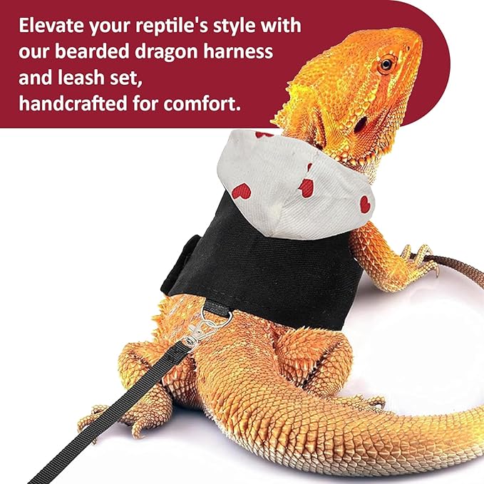Bearded Dragon Lizard Hoodie Leash Suit Reptile pet Outdoor Chest Harness Chameleon Squirrel Leash Hooded Clothes Suitable for Bearded Dragon Lizard Reptiles（White hat）