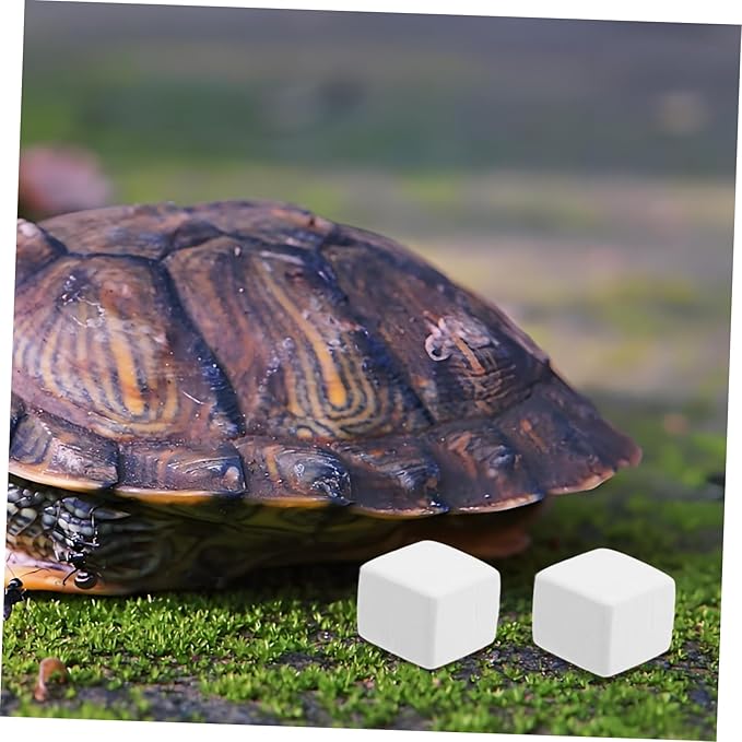 BESPORTBLE 6pcs Mineral Block Chew Toy for Birds Reptiles Turtles Pets Nutrient Source for Health Digestion and Immune Support