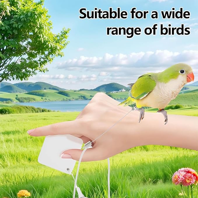 Secure Parrot Transport Bag with Net Panes Double Water Canisters Excellent for Backpacking Shopping Excursions Bird Proprietors Travel Friendly Bird Cage Pack
