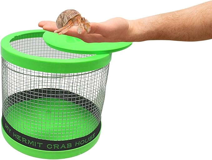 Needzo DIY Terrarium Kit, Medium Hermit Crab Starter Pack with Wire Cage, Palm Tree Water Holder, Sponge, Bag of Food, Gravel, and Misting Water Bottle, All in One Pet Supplies, 7 Inches