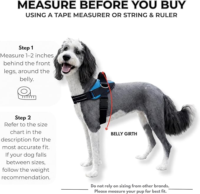 ShawnCo Essential Dog Harness, No-Pull Pet Vest with 3 Leash Clips, No Choke, Reflective, Adjustable and Padded, for Easy Walking and Training for Small, Medium and Large Dogs (Sunset Orange, XL)