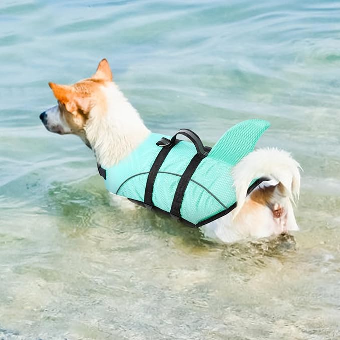 Queenmore Small Dog Life Jacket XXS, Puppy Life Jackets for Small Dogs, Little Dog Life Vest for Swimming/Boating, Cat Life Jacket/Life Vest, Lightweight Shark Pet Water Vest with Handle/Leash Hook
