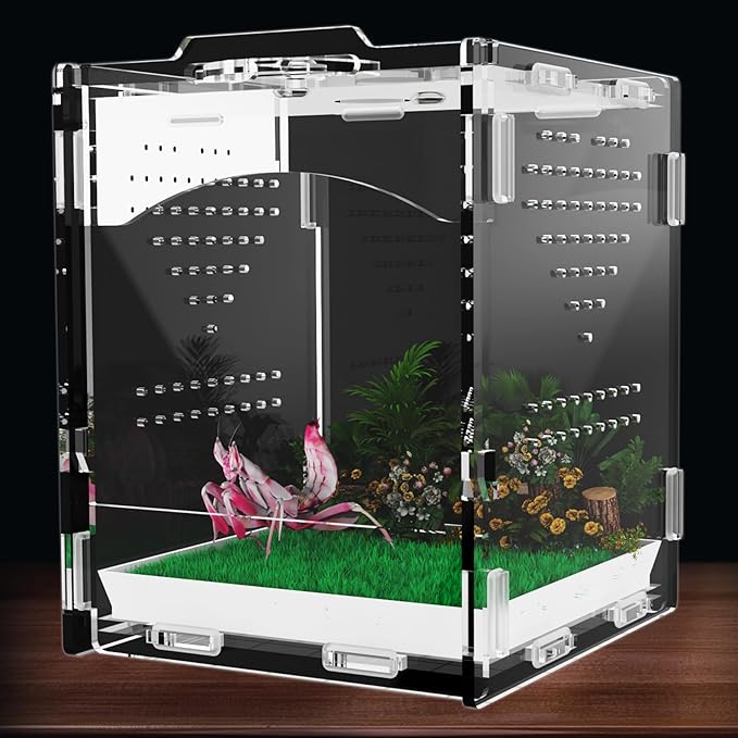 Acrylic Jumping Spider Enclosure, Insect Terrarium, Praying Mantis Habitat, Bug Enclosure, Arboreal Tarantula Enclosure Kit, Reptile Cage, Scorpion Lizard Tank (4.45 * 4.94 * 5.71in)