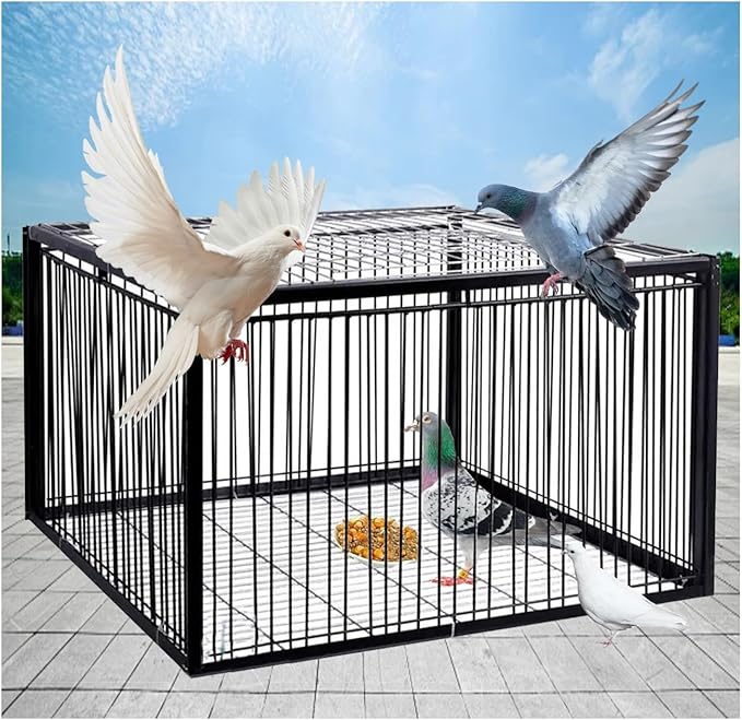 Carrier Pigeon Cage Pigeon Bird Trap Cage One-Way Entrance Trapping U-Trap Door for Quail Doves(Black,70 * 40cm)