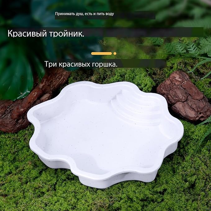 Turtle Water Enclosure | Turtle Pool | Turtle Swimming Pool | Turtle Habitat | Turtle Water Enclosure |Turtle Soaking Pool | Turtle Pool | Turtle Water Feature | Aquatic Turtle Pool | Turtle bask