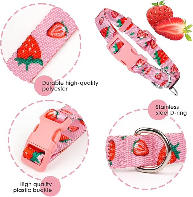 azuza Fruit Dog Collar and Leash Set, Collar Nylon and Matching Leash, Great Option for Large Dogs, Strawberry, L (Neck: 18"-26")