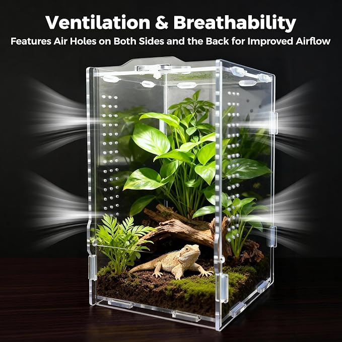 Acrylic Spider Enclosures, Insect Breeding Boxes, Insect Enclosures, Scorpion Habitats, Small Lizard and Frog Enclosures