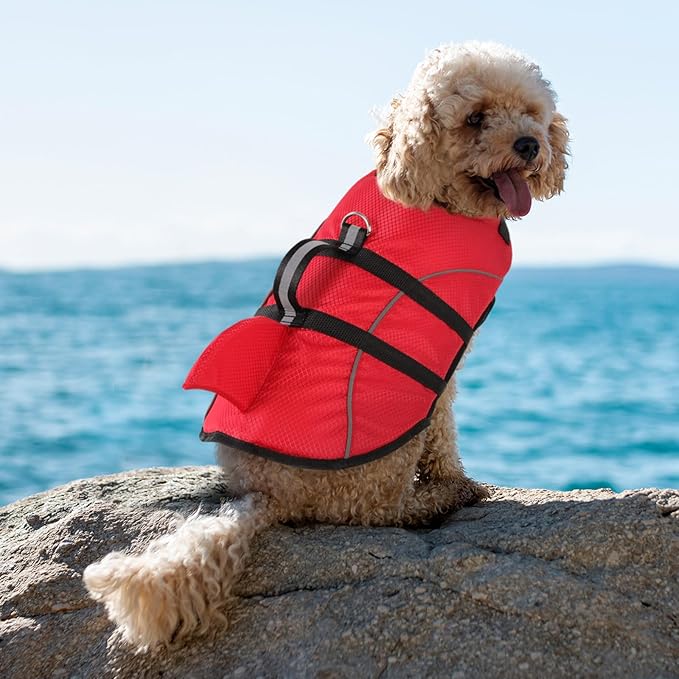 Queenmore Cat Life Jacket, XXS Extra Small Dog Life Vest, Puppy Life Vest for Swimming, Small Dog Vests for Boating, Lightweight High-Vis Water Floating Vest with Rescue Handle/Leash Hook