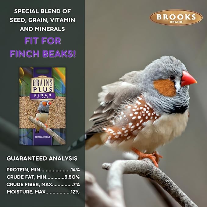 Grains Plus Finch Blend Bird Food, Nyjer Seeds, Finches Bird Seed Mix, Gold Finch Niger Seeds for Birds, Finches Food for Indoor Birds, 25 lbs