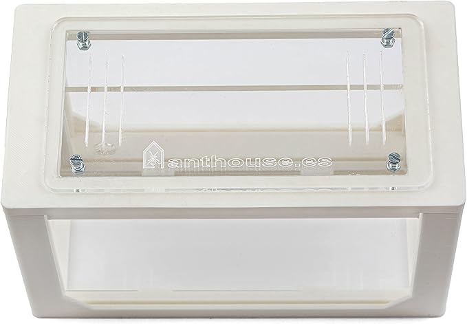 AntHouse - Natural Sand Ant Farm | 3D White Starter Kit 7.87 x 3.94 x 3.94 in