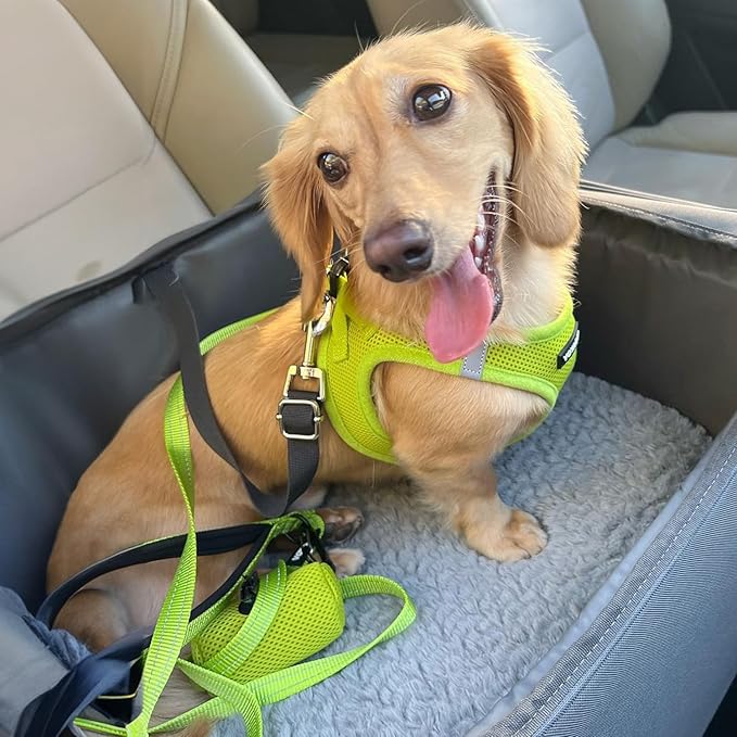 Best Pet Supplies Voyager Step-in Air All Weather Mesh Harness and Reflective Dog 5ft Leash Combo with Neoprene Handle, for Small, Medium and Large Breed Puppies - Set (Lime Green), Large