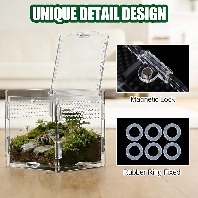 Transparent Jumping Spider Enclosure, Acrylic Reptile Terrarium Enclosure, Small Reptiles Habitat Tank Breeding Box for Tarantula Insect (Small)