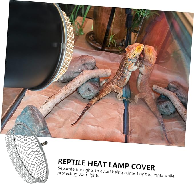 Housoutil Grille Chicken Heater Reptile Heat Lamp Reptile Heater Guard Dome Light Bulb Lampshade Protector Lampshade Shell s White Container Stainless Steel Crawl