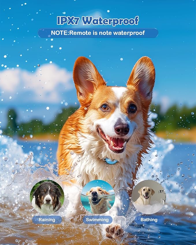 PATPET Shock Collar for Large Dog - Rechargeable Dog Training Collar with Remote for Medium Large Dogs 1000Ft Remote Range 3 Training Modes IPX7 Waterproof Blue,For 1 dog