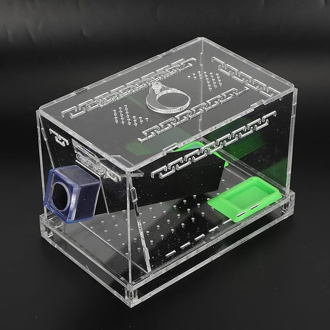 Transparent Acrylic Reptile Feeding Cricket, Cricket Care Kit Cricket Keeper with Tubes Cricket Keeper Tank Box(S)