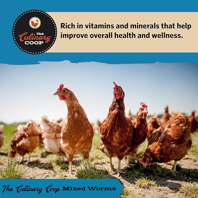 Fluker's Culinary Coop Bulk Dried Mealworms & Soldierworms, Premium Organic Dried Worm Mix for Chickens-High Protein & Omega 3 Chicken Feed for Wild Birds & Chicken Treats for Laying Hens, 10lbs