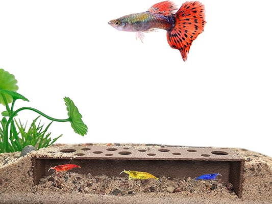 Slim Shrimp Breeding Protector | Shrimp Breeding Cave Aquarium Tunnel | CTWPets (Brown)