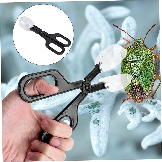 Totority 3pcs Reptile Feeding Clip Abs Material Tortoise Habitat Accessories Reptile Cleaning Supplies