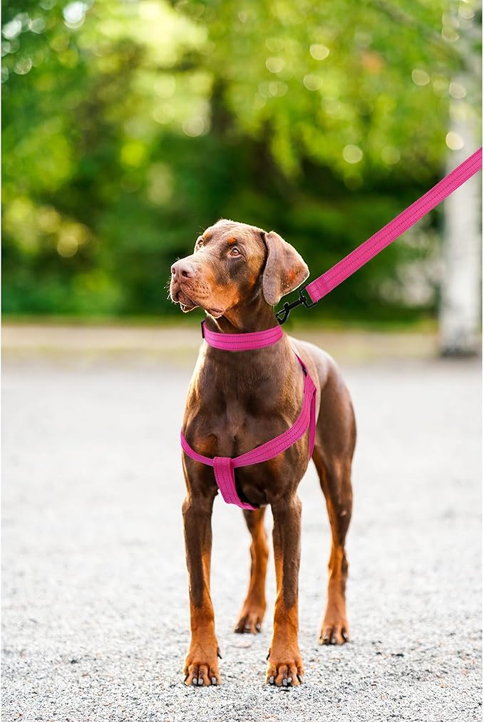 Mile High Life Night Reflective Double Adjustable Band Nylon Small Puppy Pet Dog Combo Collar Leash and Harness Set (Reflective Solid Pink, Large (Pack of 3))