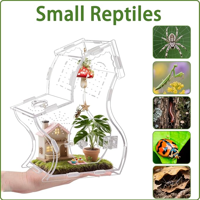 Magnetic Acrylic Enclosure for Jumping Spiders & Small Reptiles – 5.9"x4.7"x9.4" Escape-Proof Habitat with Easy-Feed Magnetic Door, 3mm Thick Clear Terrarium for Tarantulas, Mantis, Geckos & Beetles