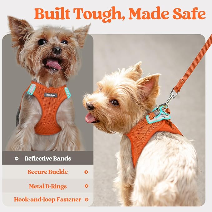 rabbitgoo Dog Harness Small Sized and Leash Set, Step in Soft Light Puppy Vest, Breathable Mesh Pet Harness, Reflective for Safe Easy Walking, Orange M
