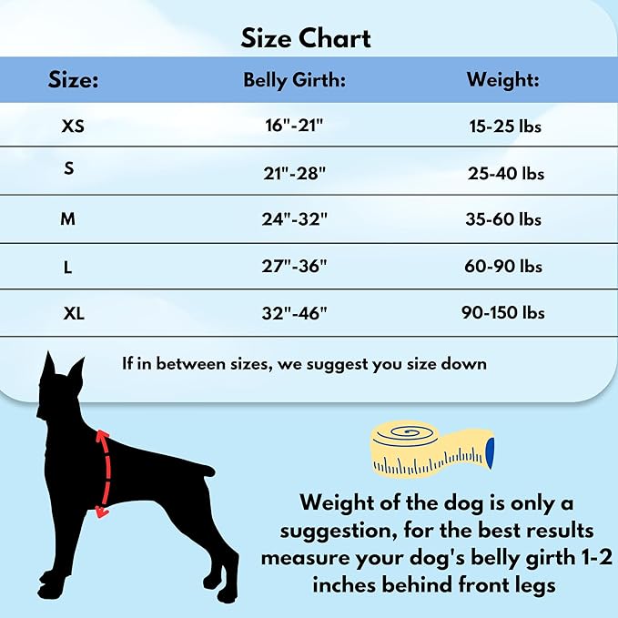 ShawnCo Dream Walk No-Pull Dog Harness- Adjustable, Comfortable, Easy to Use Pet Halter to Help Stop Pulling for Small, Medium and Large Dogs- Art Pattern Designs (Stars and Stripes, M)