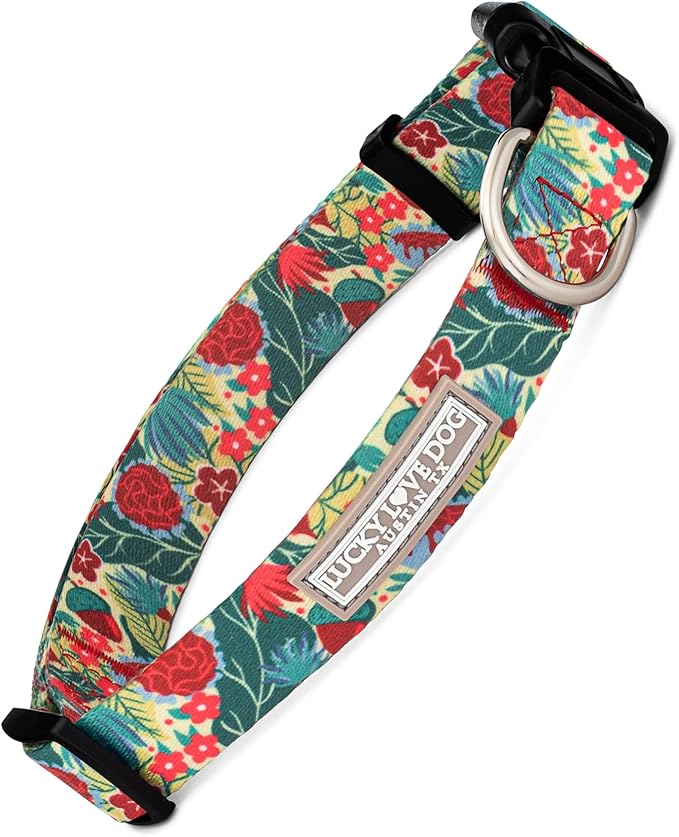 Lucky Love Dog - Adjustable Dog Collar with Easy Click Buckle for Medium, Durable, & Comfortable for Male & Female Dogs, Pet Collar for Puppies & Adult Dogs - Ginny, Medium