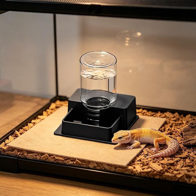 Bearded Dragon Water Bowl - Automatic Leak-Proof Wide-Mouth - Automatic Water Dispenser for Turtle,for Snake Lizard Bearded Dragon Home Indoor Garden Yard Backyard Tank Snake