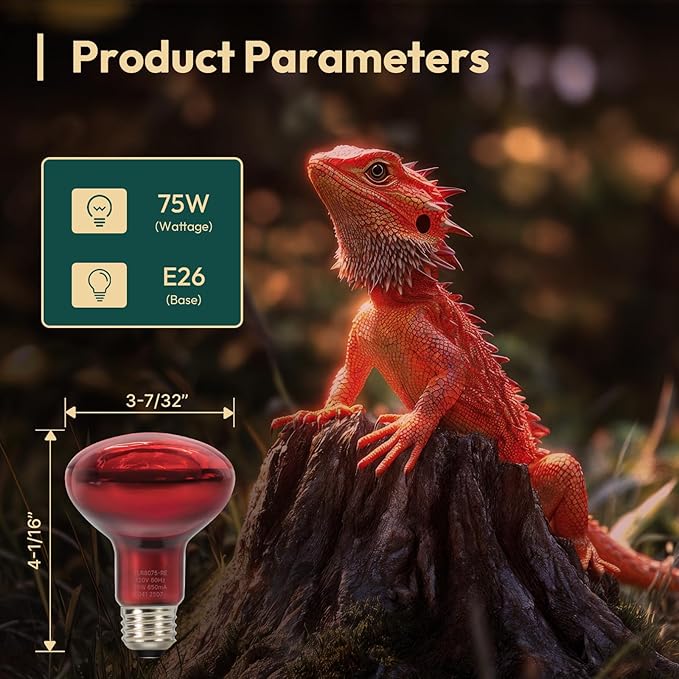 ALAMPEVER 2 Pack Red Heat Lamp Bulb, 75 Watt Infrared Light Bulb for Bearded Dragon, E26 Base, Durable Reptile Heat Bulb for Amphibian, Lizard, Tortoise, Gecko