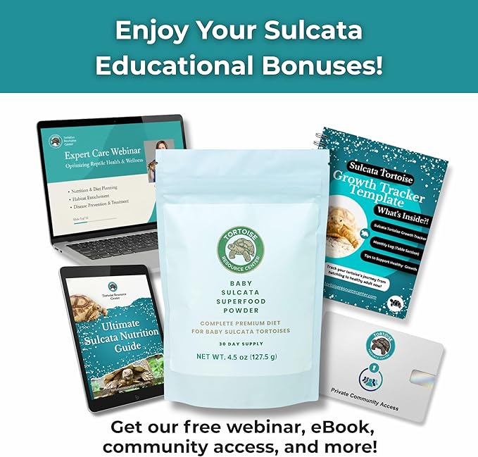 Baby Sulcata Food Powder with Calcium - Scientifically Formulated Diet for Healthy Growth - High Fiber Low Protein with Probiotics | 2.5 oz Bag | 2 Week Supply