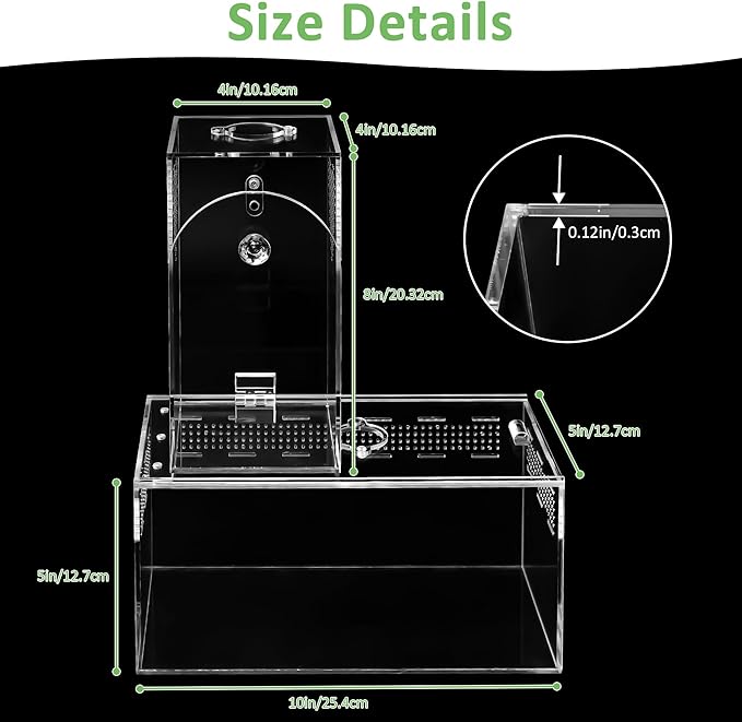 Acrylic Spider Enclosure 2 Pack, No Assembly Mixed Size Terrarium for Jumping Spider & Tarantula (L)