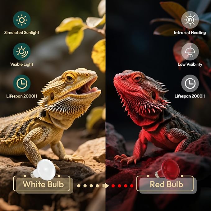 ALAMPEVER 2 Pack Reptile Heat Bulb, 100W Basking Light for Bearded Dragon, E26 Base, Durable Basking Bulb for Amphibian, Lizard, Tortoise, Gecko