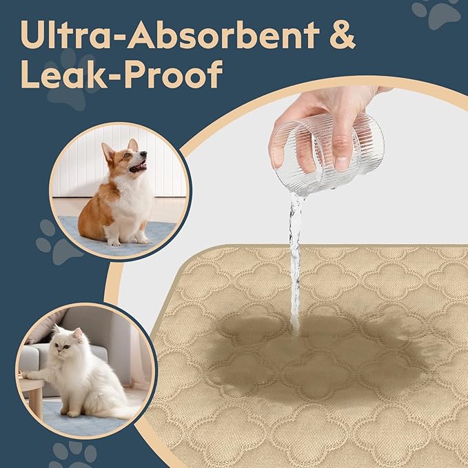 FunFurry Washable Pee Pads for Dogs - 2 Pack Reusable Waterproof Puppy Training Pads, Super Absorbent with Dog Paw Shape Non-Slip Backing (Cream, 41" X 41" - 2 Pack)