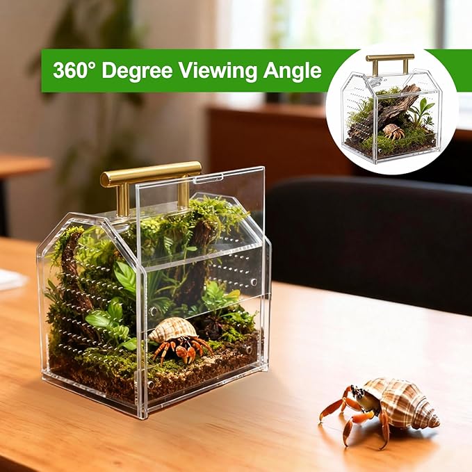 Jumping Spider Enclosure, Large Insect Terrarium, Praying Mantis Habitat, Large Insect Terrarium,Reptile Enclosure,Spider Habitat Caterpillar Habitat (5.5‘’x4.7''x6.5'')