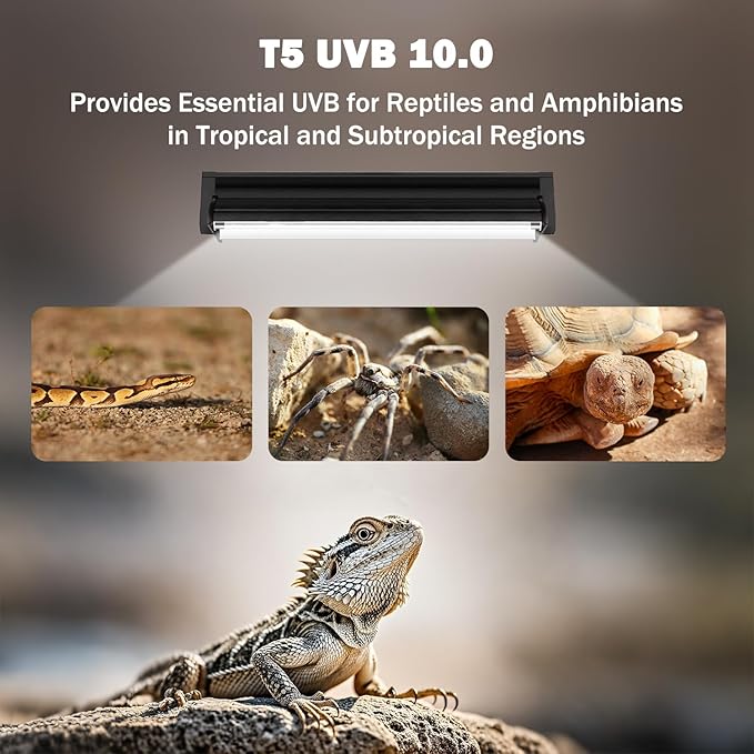 T5 10.0 UVB Reptile Light Fixture, 8W 12" T5 UVA/UVB Fluorescent Tube Bulb for Bearded Dragon, Tortoise, Leopard Gecko, Desert Lizards