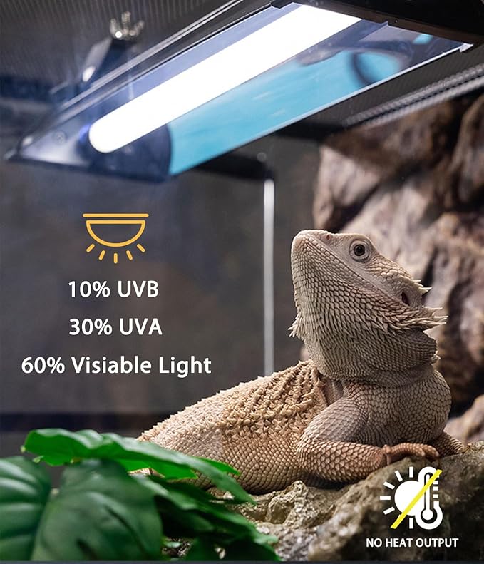 T5 HO UVB Reptile Light Fixture Combo Kit, Switchable 10.0 & 5.0 UVB Bulb, 8W Fluorescent Tube 12 Inch UVA/UVB Output Lamp for Rainforest Species and Desert Reptiles