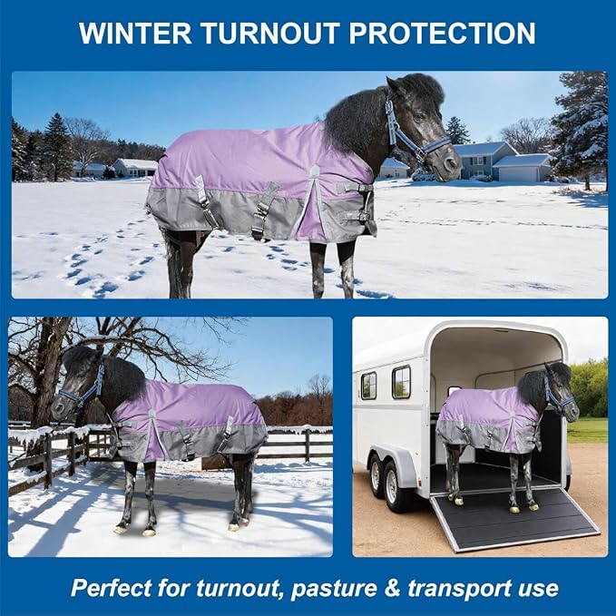 1200D Ripstop Mini Horse/Pony Blanket, Medium Weight 200g Fill - Waterproof Breathable Warm Winter Turnout Blanket for Foal/Weanling/Yearling/Donkey/Mule Violetgrey 54