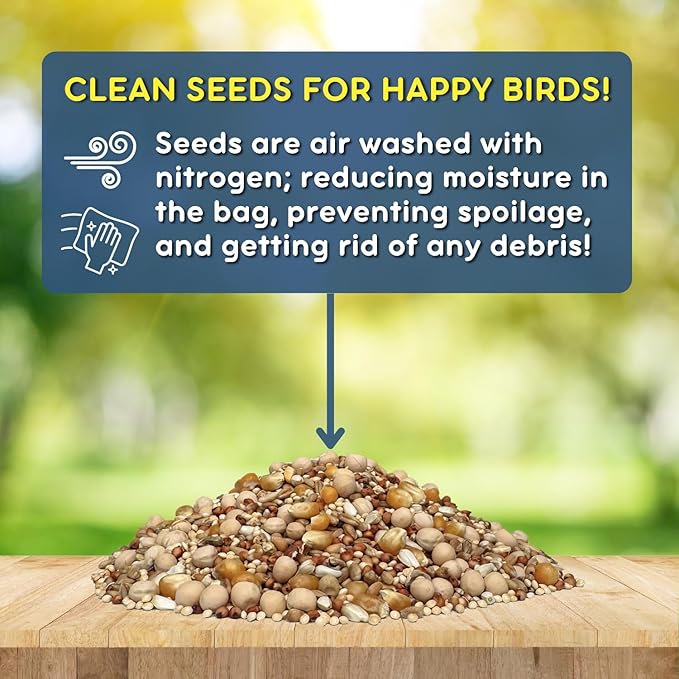 Birds of a Feather Deluxe Dove Food, Pigeon Food, Mourning Dove Outdoor Bird Seed, Dove Bird Seed, Comida para Palomas, Made in USA, 8 lbs