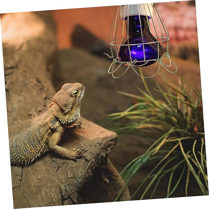 Toyvian Reptile Scald Lampshade Cover for Heat Lamp Metal Bulb Guard for Reptile Tank Sturdy Accessory for Continuous Lighting