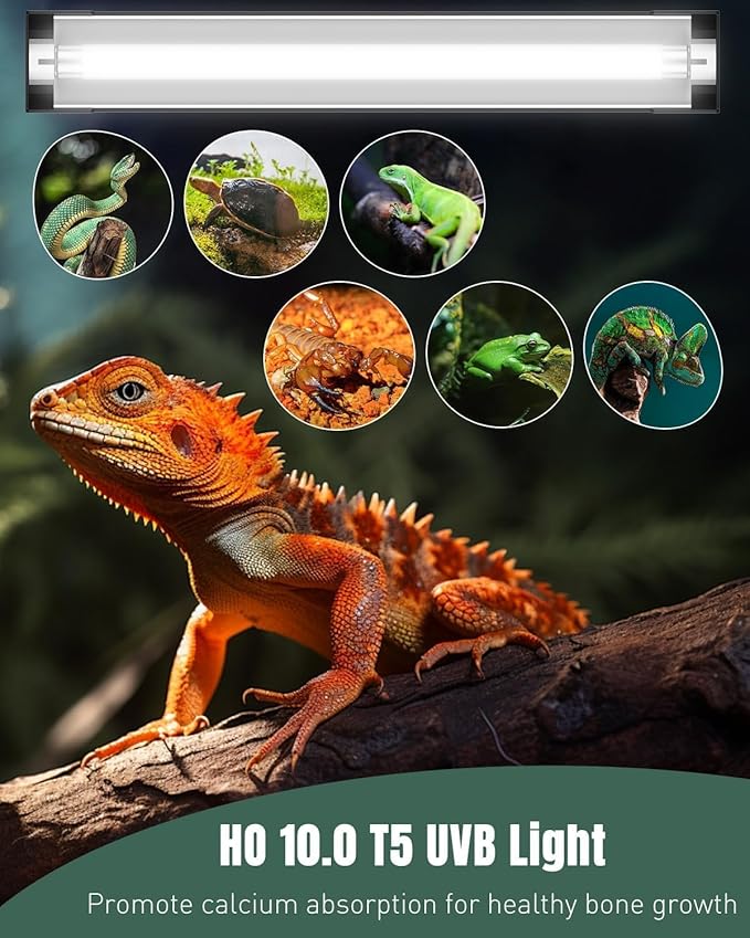 Pawfly T5 Reptile Light Combo Kit with 2 UVB Tubes, 10.0 UVB Light Fixture with Terrarium Hood and 8W Light Tubes for Bearded Dragon, Desert & Tropical Terrariums