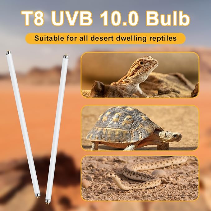 LUCKY HERP T8 14W UVB 10.0 Reptile Light, UVA UVB Reptile Light Bulb 2 Pack, Fluorescent Lamp for Reptiles Amphibians Lizards Chameleons