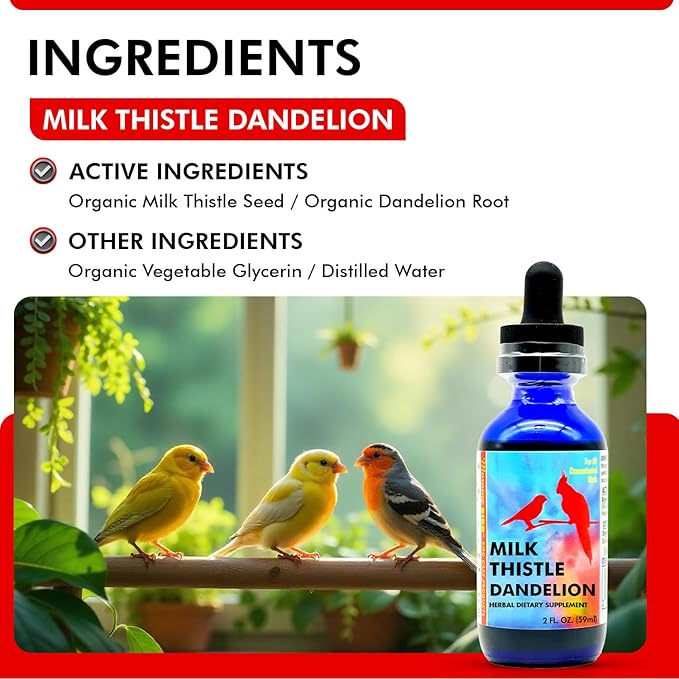 Morning Bird Milk Thistle & Dandelion Extract 2 fl oz – Organic Herbal Supplement for Birds – Supports Liver Health & Natural Detox – Suitable for All Bird Species