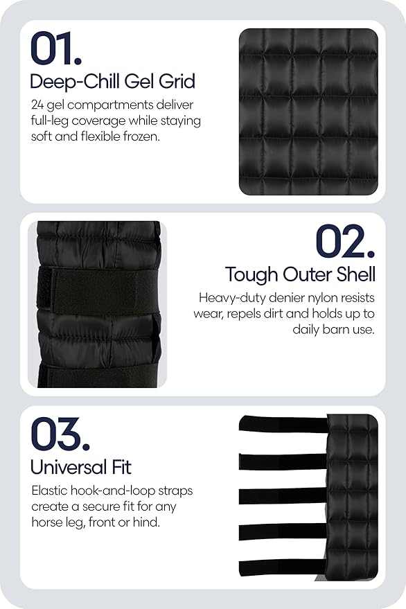Equinavia Cool Relief Therapy Ice Boots Leg Wraps Pair for Horses, Gel Pack with Adjustable Straps | 16.5" x 15.5" with Storage Bag - Black - Pair - One Size