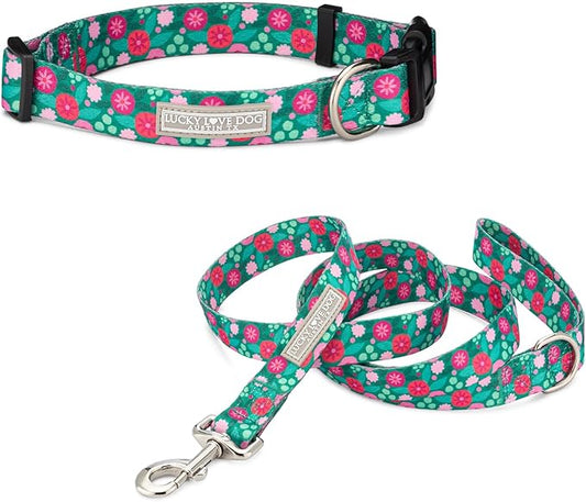 Lucky Love Dog - Adjustable Dog Collar and Leash Set with Easy Click Buckle for Large Dogs, Durable, & Comfortable Collar for Male & Female Dogs, Puppies & Adult Ones - Penny Combo, Large