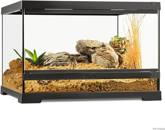 Pro Terrarium Small Low. Advanced Natural Terrarium