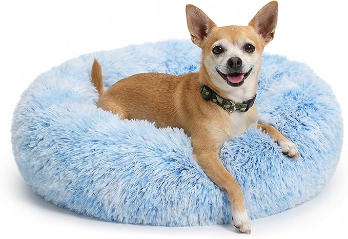 Calming Donut Dogs Beds for Small Dogs Washable,19inch Fluffy Round Puppy Bed for Puppies,Cats & Toy Breeds with Raised Rim,Fits up to 15 lbs Pets,Gradient Blue