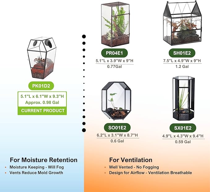 NCYP Gothic Glass Enclosure for Jumping Spider, Snails, Insects - Front Opening Door Geometric Terrarium with Vent Holes, Indoor Tabletop Coffin Shape Decor, Black (Terrarium Only)